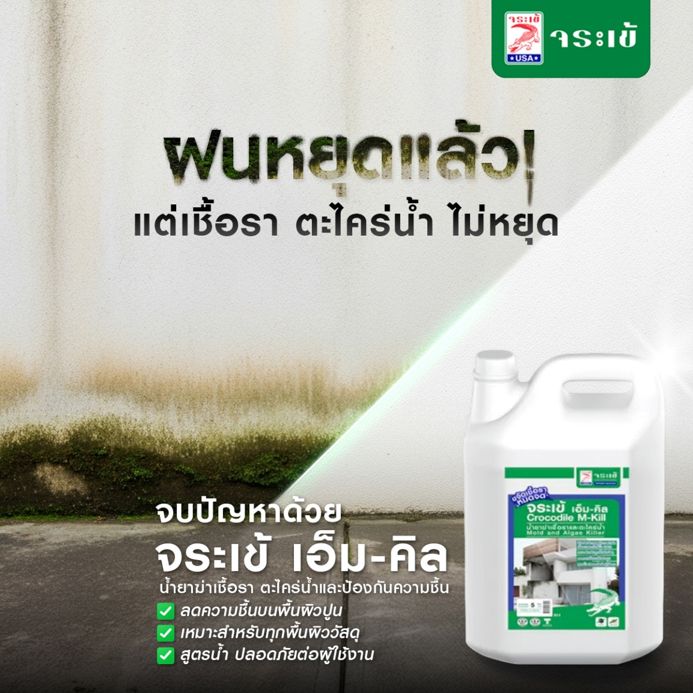 ฝนผ่านไป ตะไคร่มา บอกลาคราบเชื้อราด้วย