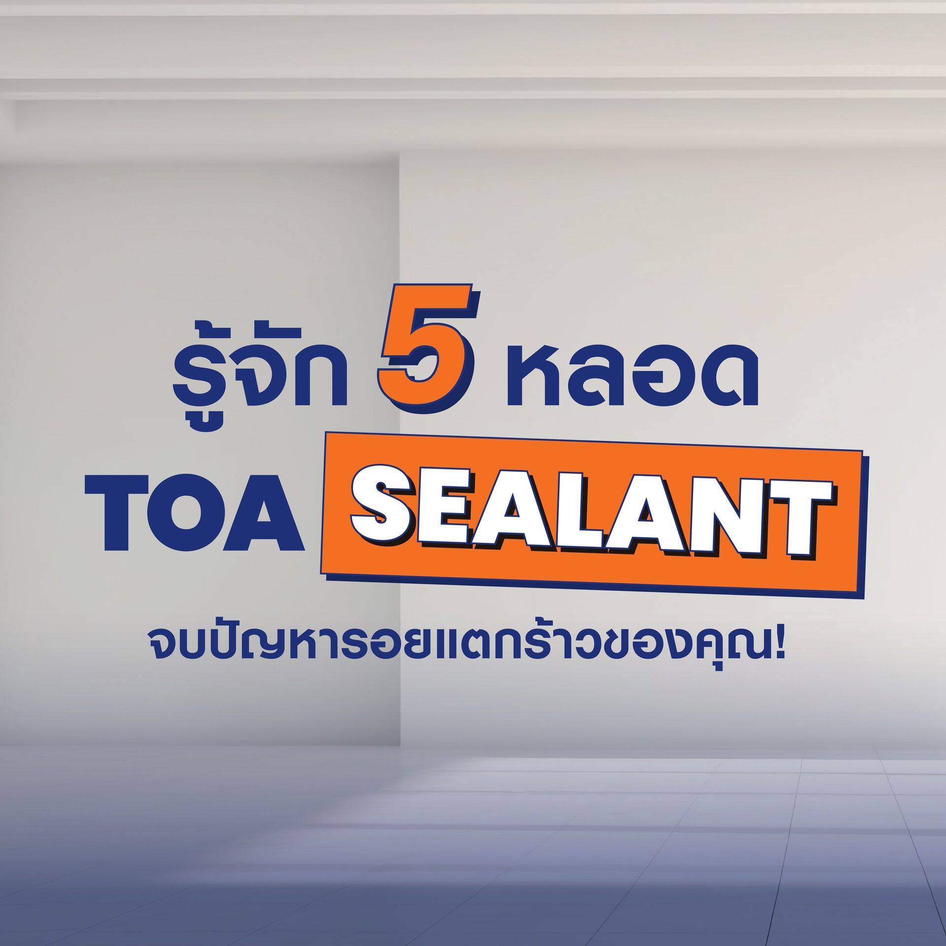 ซีลแลนท์ TOA 5 หลอดนี้ แตกต่างกันอย่างไร
