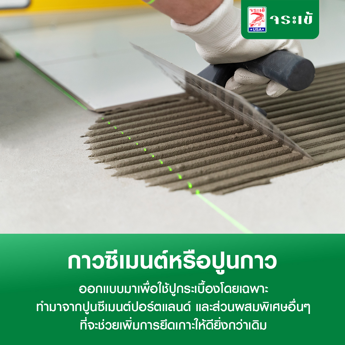 กาวซีเมนต์”  หรือ “ปูนกาว